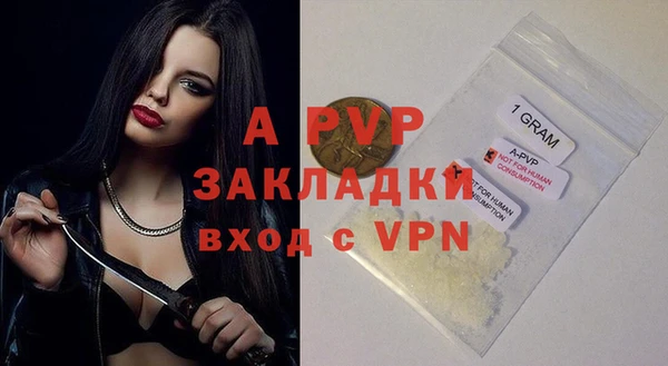 ECSTASY Тавда