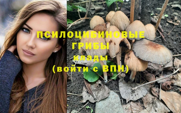 эйфоретик Горно-Алтайск
