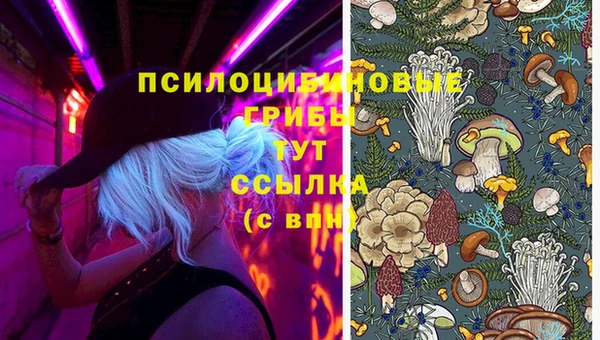 эйфоретик Горно-Алтайск
