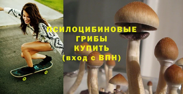 mix Тайга