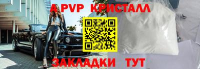 шишки Донской