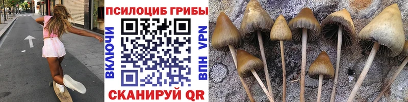 наркота Мценск Галлюциногенные грибы мухоморы