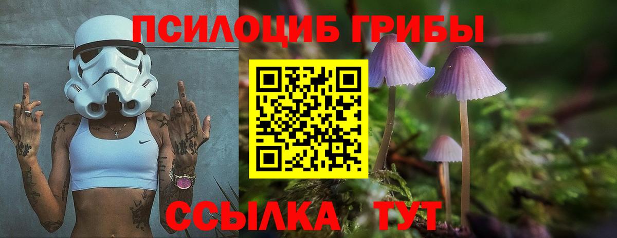 Мценск  Псилоцибиновые грибы Magic Shrooms  Псилоцибиновые грибы Psilocybine cubensis  Вход с VPN 